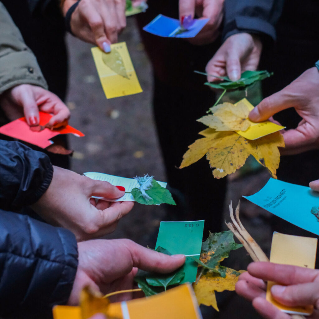 people holding leaves